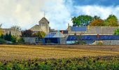 Randonnée Marche Onhaye - De Miavoye à Maurenne par le vallon de Féron - Photo 14