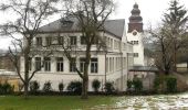 Tour Zu Fuß Rüdesheim am Rhein - Rundwanderweg Tanne - Photo 1