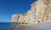 Percorso Marcia Étretat - Etretat Antifer - Photo 1