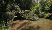 Trail Walking Esvres - 2015 10 11 - Esvres-sur-Indre - Photo 1