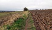 Tour Zu Fuß South Tyneside - Bede's Way - Photo 5