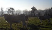 Tour Wandern Quevillon - 20211218-Quevillon  - Photo 9