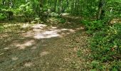 Tocht Stappen Vendôme - Randonnée dans le Bois de l'Oratoire à Vendôme  - Photo 8