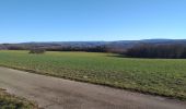 Trail Walking Ornans - Votre-dame du chêne  - Photo 8
