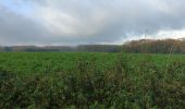 Tocht Stappen Le Rœulx - Marche ADEPS Mignault - Photo 1