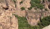 Excursión Senderismo Bagnols-en-Forêt - Gorges du Blavet 83 - Photo 5