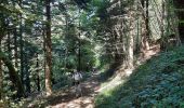 Trail Walking Montaigu - GR_559_AA_01_Montaigu_Verges_20210912 - Photo 4