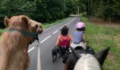 Tocht Paardrijden Lambach - Promenade autour de Bitche - Photo 4