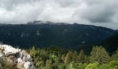 Randonnée Marche Sarcenas - Col de Porte_La Pinea_Oratoire d'Orgeval - Photo 14