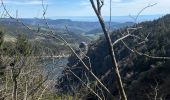 Tocht  Orbey - Col du wettstein  lac noir lac blanc - Photo 4