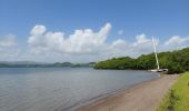 Trail Walking La Trinité - boucle pointe rouge - anse spourtoune - Photo 5