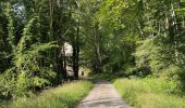 Randonnée Marche Oigny-en-Valois - en forêt de Retz_86_les Laies de la Poudrerie et de la Fosse aux Demoiselles - Photo 19