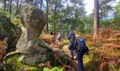 Tocht Te voet Fontainebleau - Fontainebleau les monts de Fay - Photo 6