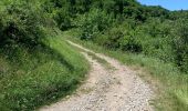 Trail Walking Coux - Coux - Photo 2
