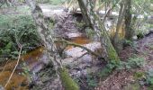 Trail On foot Bilzen - Munsterbos Blauwe ruit - Photo 9