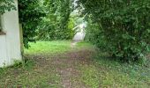 Randonnée Marche Azé - Azé - Bois et Champs - Photo 8