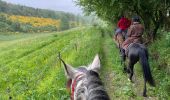 Tour Reiten Feitweiler - Bavigne Tripoux 2022 - Photo 14