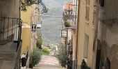 Trail On foot Sanremo - Sentiero Balcone Mediterraneo T3 - Photo 7