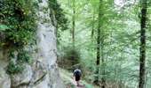 Tocht Stappen Consdorf - Superbe promenade vers le Kuelscheier   - Photo 15