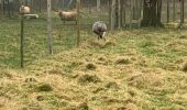 Tour Wandern Braine-le-Château - Braine le chateau 11 km - Photo 7