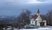 Tour Zu Fuß Pöllauberg - Masenberg über Staudach Weg 16 - Photo 8