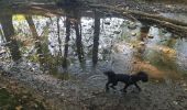 Tocht Stappen Seraing - Balade du Val à Yvoz en forêt  - Photo 5