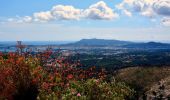 Tocht Stappen Toulon - SityTrail - 4 Chemins des Routes - Le Croupatier - Le Broussan - Col du Corps de Garde - Photo 20