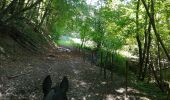 Trail Horseback riding Aiton - boucle Etelaine depuis Aiton - Photo 1