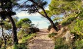Trail Walking Bandol - Boucle Bandol - Port d'Alon - Dune de sable - La Madrague - Port d'Alon - Bandol - Photo 14