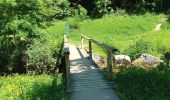 Percorso Marcia Engins - Les gorges du Bruyant - Photo 8