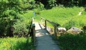 Randonnée Marche Engins - Les gorges du Bruyant - Photo 8