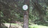 Percorso Mountainbike Bertrambois - sortie vtt du 20052018 - Photo 5