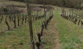 Randonnée Marche Clairvaux-d'Aveyron - Clairvaux les vignes  - Photo 6