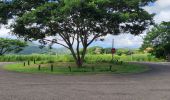 Tour Wandern Les Trois-Îlets - habitation vatable et ses plantations  - Photo 12