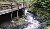 Trail Walking Belfast - glenarif forest park - waterfalls - Photo 5
