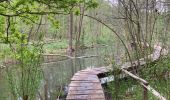 Tour Wandern Wavre - Limal vers Bois de Lauzelle par le Jardin des Moines  - Photo 2