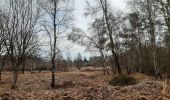 Trail Walking Spa - grand tour de la fagne depuis Malchamps - Photo 2
