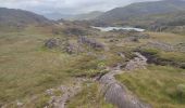 Tour Wandern West Cork - Hungry Hill - Photo 8