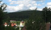 Trail On foot Spiegelau - RW Steinklamm - Photo 1