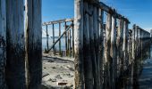 Tour Zu Fuß Unbekannt - Randheimsrunden - Photo 4