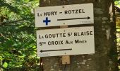 Trail Walking Sainte-Croix-aux-Mines - Le Hury par le Petit-Haut - Photo 11