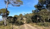 Tour Wandern La Roque-d'Anthéron - PF-La-Roque-d'Anthéron - La Chaîne des Côtes - Reco - Photo 17