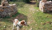 Tocht Stappen Uzès - vallée de l'Eure. Capitelles  - Photo 9