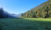 Trail Walking Bouillon - rando rochehaut 5-10-2024 - Photo 18