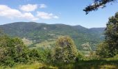 Randonnée Marche Villé - Le massif de la Honel - Photo 10