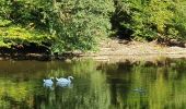 Tour Wandern Florenville - rando les epioux 15/09/2020 - Photo 4