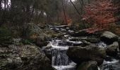 Trail Walking Jalhay - Hoegne-Polleur-Statte-Dolmen - Photo 17