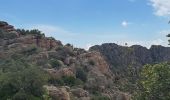 Trail Walking Le Muy - roquebrune argens - Photo 4