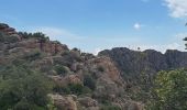 Tocht Stappen Le Muy - roquebrune argens - Photo 4