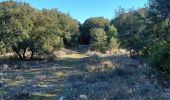 Trail Walking Aniane - grotte des reliques, montcalmes - Photo 2